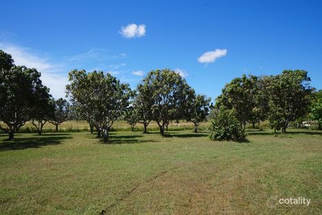 Property photo of 558 McGrath Road Biboohra QLD 4880