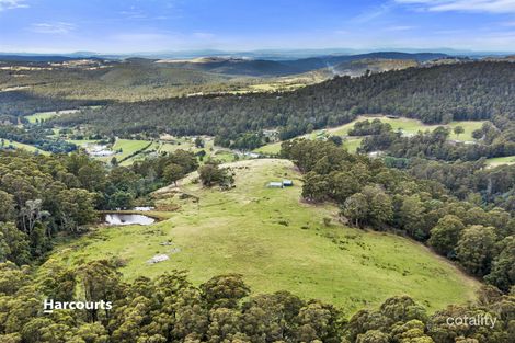 14 Batchelors Rd, Sandfly, TAS 7150