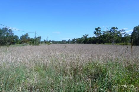 Property photo of 55 Eucalypt Way Cootharaba QLD 4565