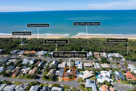 Property photo of 19 Mallard Place Bokarina QLD 4575