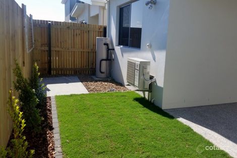 Property photo of 16 Vincent Avenue Sippy Downs QLD 4556