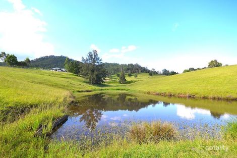 Property photo of 36 Cedarvale Road Sandy Creek QLD 4515