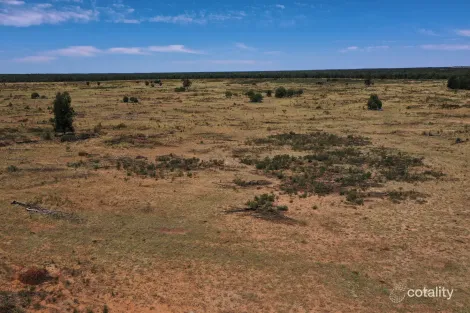 555 Yuleba Surat Rd, Yuleba South, QLD 4427