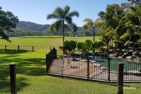 Property photo of 66 Whiteley Road Miallo QLD 4873