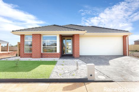 38 Linacre Cres, Melton South, VIC 3338
