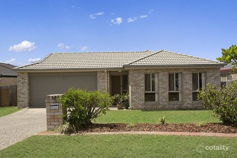 61 Glentree Ave, Upper Coomera, QLD 4209