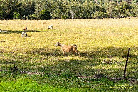 Property photo of 54 Singleton Road Wisemans Ferry NSW 2775