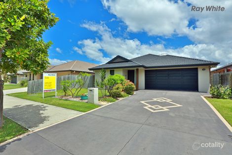 Property photo of 20 Butternut Circuit Thornlands QLD 4164