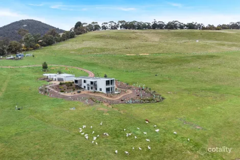 Property photo of 391 Joyces Road Monegeetta VIC 3433