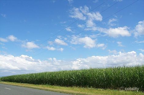 167-185 Cabbage Tree Point Rd, Steiglitz, QLD 4207