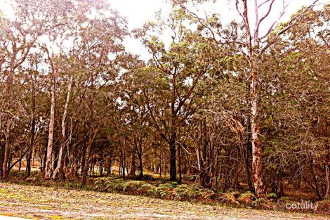 Property photo of 15 Saddlers Way Wyee Point NSW 2259