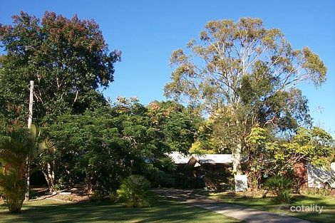 Property photo of 191 Long Street Cleveland QLD 4163