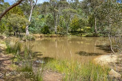 Property photo of 923 Grasstree Hill Road Grasstree Hill TAS 7017