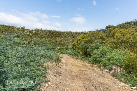 Property photo of 923 Grasstree Hill Road Grasstree Hill TAS 7017