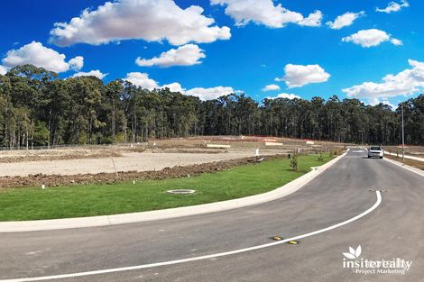 Property photo of 30 Reo Place Yandina QLD 4561