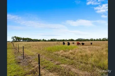 Property photo of 198-278 Burtons Road Maroochy River QLD 4561