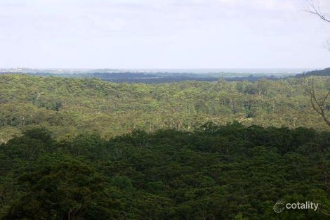 Property photo of 1349 Eumundi Noosa Road Eumundi QLD 4562