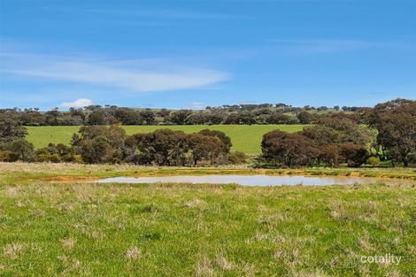 991 Keajura Rd, Tarcutta, NSW 2652
