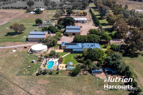 66 Londrigan-Tarrawingee Rd, Londrigan, VIC 3678