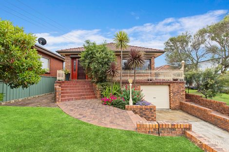 Property photo of 16 Helen Brae Avenue Fairy Meadow NSW 2519