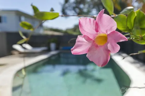 Property photo of 13 Wallimbi Avenue Bellara QLD 4507