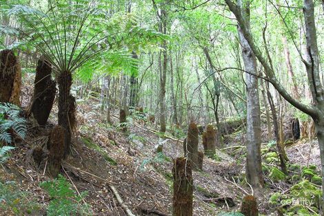 204 Ayres Rd, Ranelagh, TAS 7109