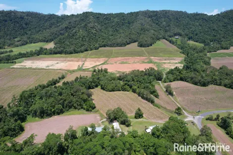 Property photo of 217 Cassowary Road Cassowary QLD 4873