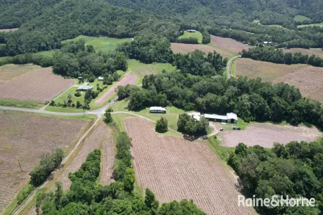 Property photo of 217 Cassowary Road Cassowary QLD 4873