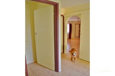 Property photo of 8 Maple Street Pialba QLD 4655