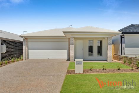 41 Mount Mitchell St, Park Ridge, QLD 4125