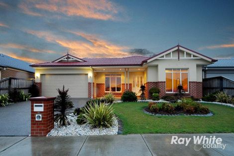 Property photo of 16 Aisbett Close Lynbrook VIC 3975
