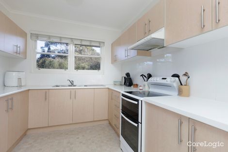 Property photo of 1/130 Oberon Street Coogee NSW 2034