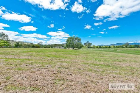 Property photo of 14 Brady Street Dayboro QLD 4521