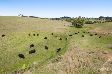 Property photo of 436-439 Bangalow Road Hayters Hill NSW 2481