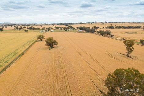 8 Schlenkers Rd, Alma Park, NSW 2659