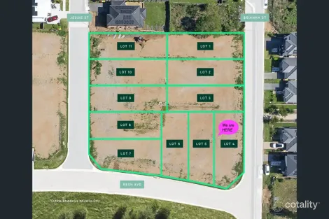 53 Resh Ave, Riverstone, NSW 2765