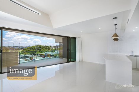 Property photo of 19 Princess Street Bulimba QLD 4171