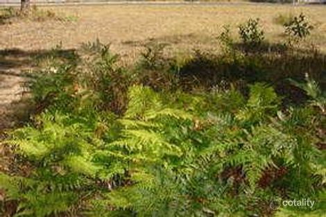 Property photo of 5 River Link Road Mossy Point NSW 2537