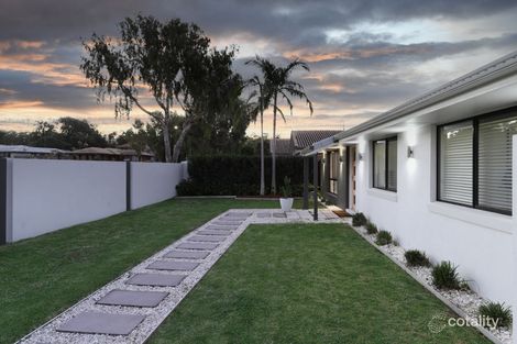 Property photo of 19 Hermosa Street Mountain Creek QLD 4557