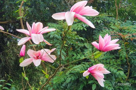 Property photo of 5990 Arthur Highway Taranna TAS 7180