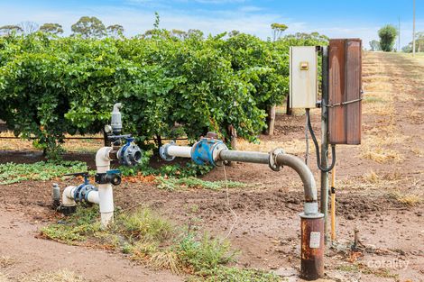 Lot 175 Nicolai Rd, Bethany, SA 5352