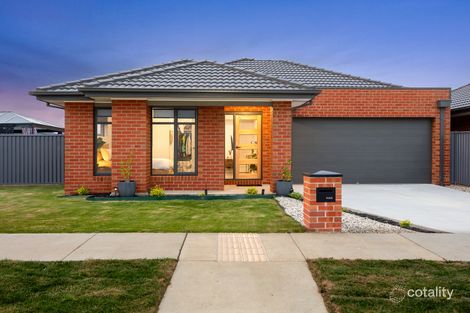 35 Vetrano Ave, Alfredton, VIC 3350