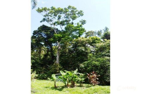 Property photo of 61 Palm Road Diwan QLD 4873