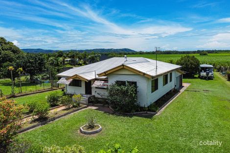 Property photo of 608 Mossman-Daintree Road Miallo QLD 4873