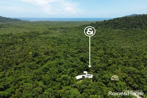 2159 Cape Tribulation Rd, Diwan, QLD 4873
