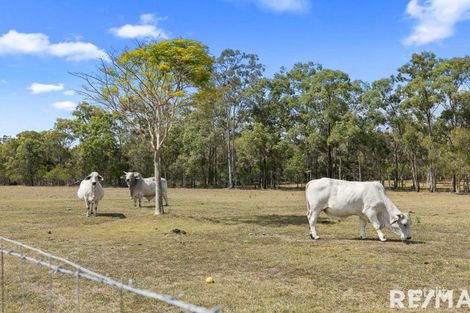 Property photo of 58 Derns Drive Takura QLD 4655