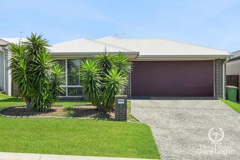 Property photo of 3 Rosella Way Deebing Heights QLD 4306