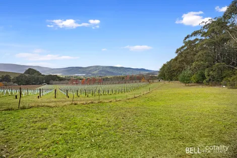 80 Prices Rd, Gladysdale, VIC 3797