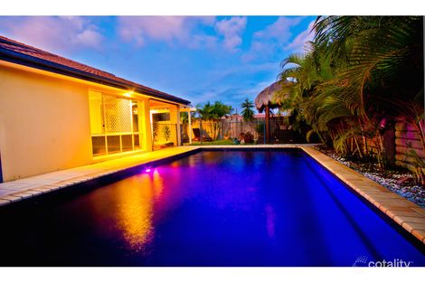 Property photo of 6 Redwood Place Molendinar QLD 4214