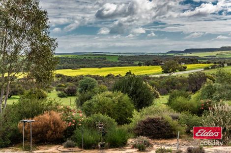 1668 Chapman Valley Rd, Narra Tarra, WA 6532